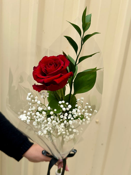 Single Red Rose