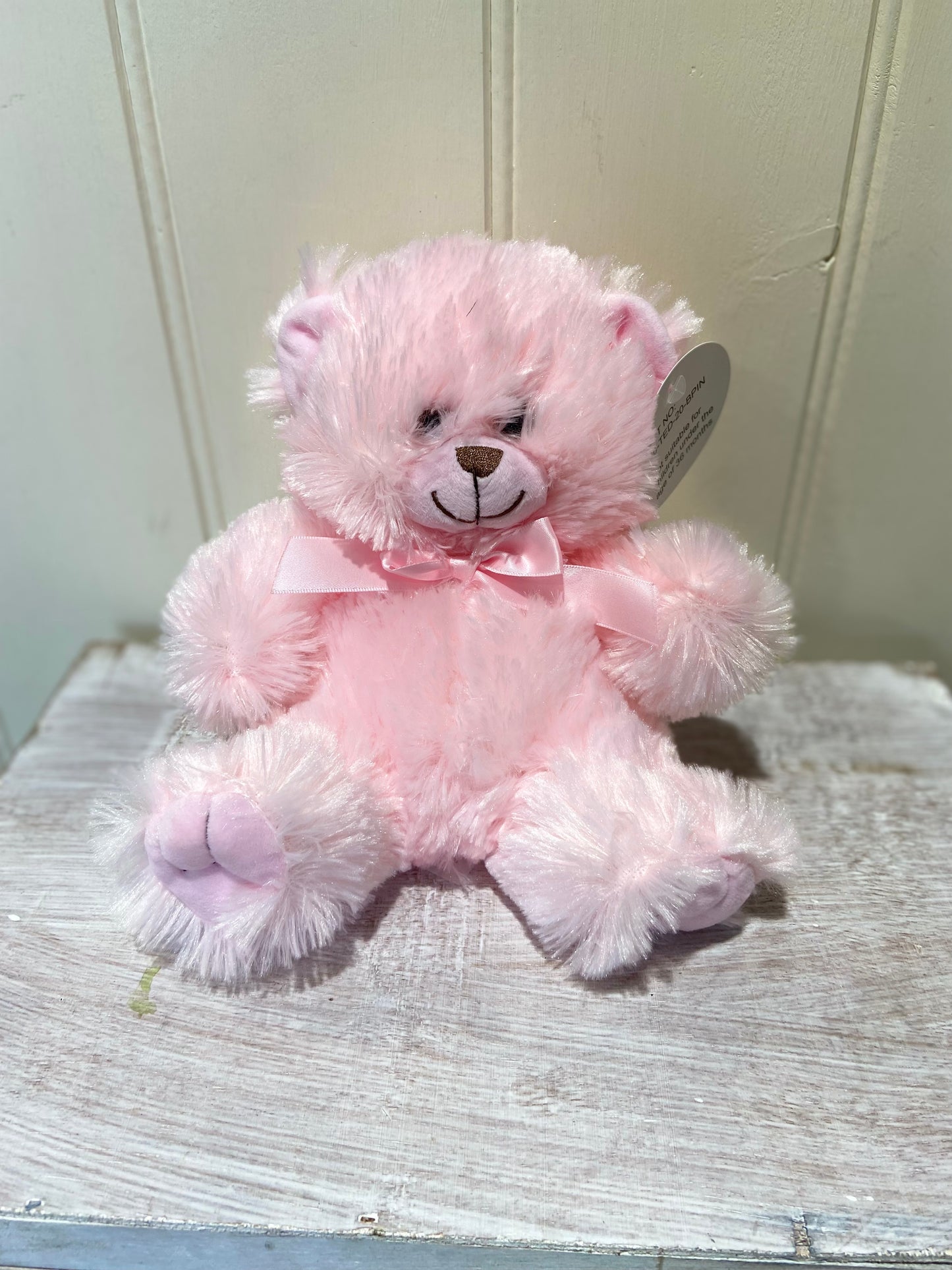 Teddy Bear 20cm (choice of brown - pink - blue)