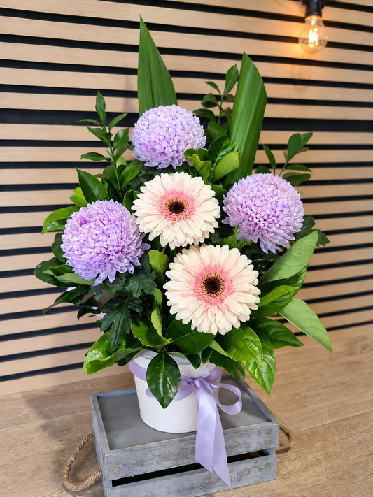 The Bella  Vase